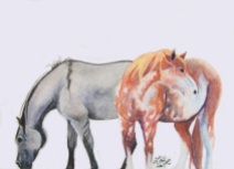 "Sabino and Grulla" by Laurel Anne Equine Art