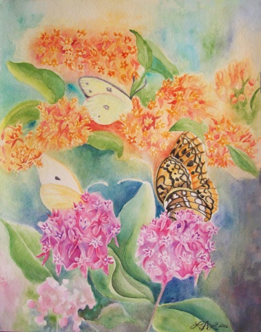 Butterfly Weed by Laurel Anne Equine Art